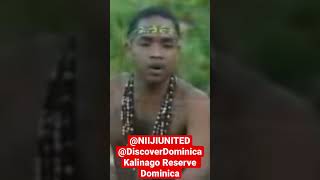 Kalinago Tribal Reserve Dominica: #blackindian #blackindigenous #niiji #taino #aboriginalamerican