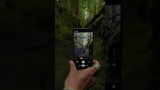 Exploring the dark forest with #Xperia1VI #Shorts