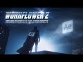 Workflower 2 for After Effects