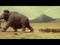 MAMUT VIDEO