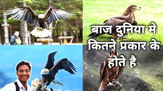 बाज की दुनिया भर में कितनी प्रजातीया है || types of eagle 🦅 || fact about eagle 🦅