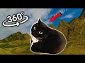 Maxwell The Cat  360° But its finding Challenge |  VR/4K/360° Experience