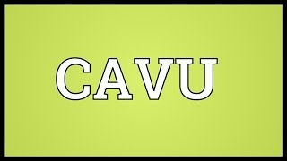 CAVU Meaning