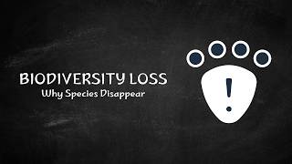 Biodiversity Loss Explained | Causes, Consequences & Ecosystem Recovery