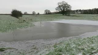 Frozen, flooded field in Shropshire village. Minus 7 C - 19 F. #shropshire #winter #snow 10 Jan 2025