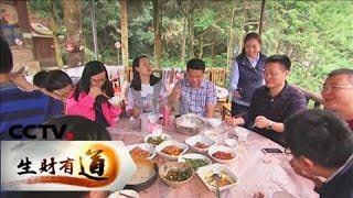 《生财有道》 20180320 浏阳河畔收获多 | CCTV财经