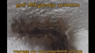 നിങ്ങൾക്കറിയാമോ ഇതിന്റെ പിന്നിലുള്ള സത്യം... 😲