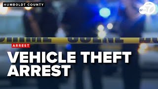 Humboldt County deputies arrest woman for vehicle theft after Fields Landing disturbance