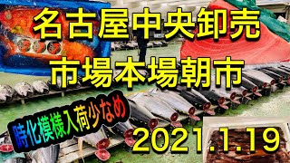 [魚市場]名古屋中央卸売市場本場朝市2021.1.19