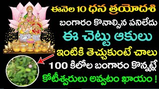 ఈనెల 10న ధన త్రయోదశి బంగారం కొనకపోయినా ఈ చెట్టు ఆకులు ఇంటికి తెచ్చుకుంటే 100 కిలోల బంగారం కొన్నట్లే