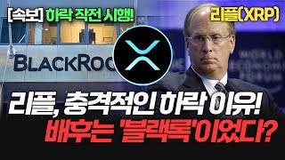 리플 하락은 작전이었다! 충격적인 속보! 이 사건의 진실은? #리플 #리플전망 #리플하락 #리플악재 #XRP