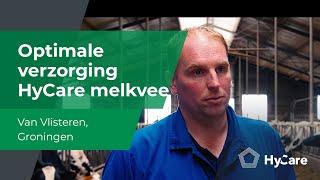 HyCare Melkvee | Optimale verzorging @ Van Vilsteren, Groningen (NL Sub)