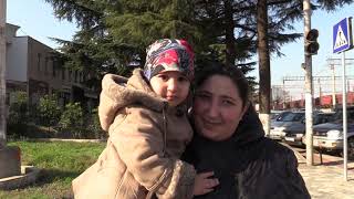 წიწვოვანი ხე მცენარეების მოპოვებასა და რეალიზიციაზე კონტროლი მკაცრდება