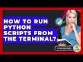 How To Run Python Scripts From The Terminal? - Python Code School