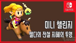 [김군] 스위치 젤다의 전설 지혜의 투영 : 미니 챌린지-꼬꼬를 잡아라 (The Legend of Zelda: Echoes of Wisdom)