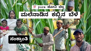 ಮಲೆನಾಡಿನ ಕಬ್ಬಿನ ಬೆಳೆ || 💯 pure ಜೋನಿ ಬೆಲ್ಲ || ಸಂಕ್ರಾಂತಿ