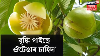 Elephant Apple ক কেন্দ্ৰ কৰি সৃষ্টি হৈছে এখন বিশাল বজাৰ