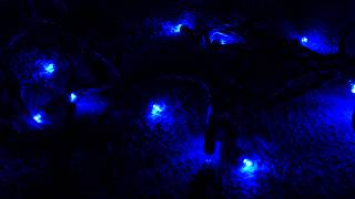 Dazzle 5mm Blue With Pure White Strobe Lights