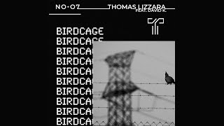 Thomas Lizzara feat. David K. - Birdcage (Official Visualizer)