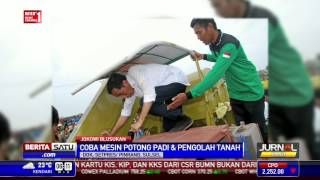 Jokowi Blusukan ke Sentra Padi di Pinrang