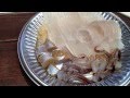 Live raw squid from Hakodate, Hokkaido