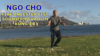 Five Ancestors Fist Ngo Cho Southern Shaolin Kung fu Forms