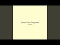 Ocean Pulse Fragments