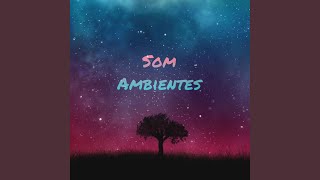 Ambiente 6