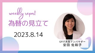 ＜安田佐和子の為替の見立て＞ドル円振り返り＆今後2週間の見立て（2023.8.14）