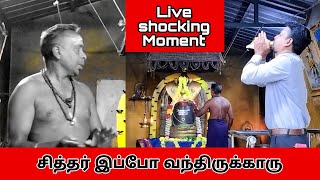 காட்டுக்குள் இருந்த 2,500 வருடம் பழமைவாய்ந்த சிவன் கோவில் | மகாலிங்கேஷ்வரர்