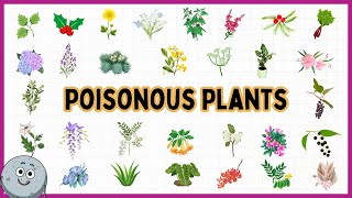 30 Poisonous Plants Names for Kids - Learn Toxic Flora for Children