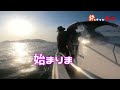 4 17 笠岡諸島シーバス好調、マダイのっこみが始まります！