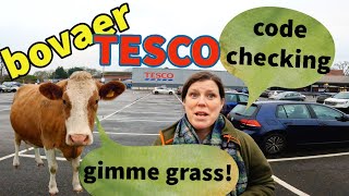 BOVAER update: TESCO dairy code PROBE