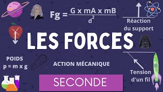 Les Forces / Interaction gravitationnelle Poids Action Réaction / Physique Chimie Seconde