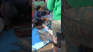 Fish market in Cambodia #shorts