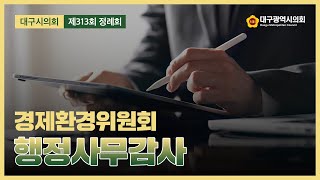 【제313회 정례회】 대구시의회 경제환경위원회 행정사무감사