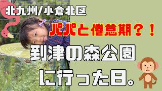 北九州小倉北区｜パパと倦怠期？！到津の森公園で遊んだ日。