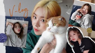 Vlog 우당탕탕 첫 시작. 휘인의 일상ㅣ앨범 녹음, 반려묘 꼬모, 패션하울, 룩북, 언박싱