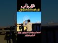 شکار،هیجانی استاد حشمت trending viral shorts short foryou funn comedy fannyvideo car pigeon