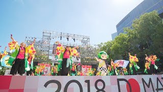 [4K] みどりっち　どまつり 2018　本祭2日目