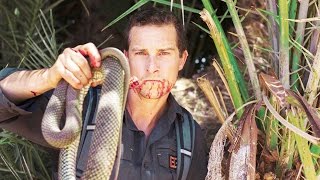 Top 10 Insane Bear Grylls Moments Top 10 Insane Bear Grylls Moments