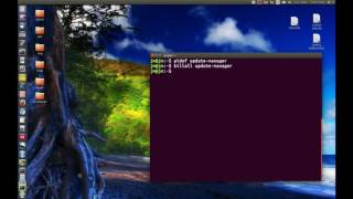 Kill off a non responding program in Linux Mint and Ubuntu