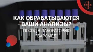 Как обрабатываются ваши анализы? Поход в лабораторию.