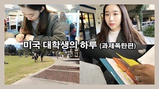 미국 대학생의 하루 - 과제폭탄편 / (eng) one day vlog of college student