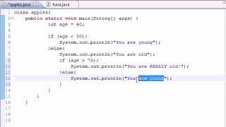 Java Programming Tutorial 18 Nested if Statements