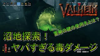 #8 【沼地と毒と霊廟】 VALHEIM