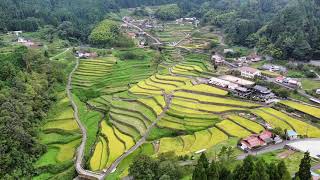 井仁の棚田　Ini Tanada Rice Terraces  Hiroshima Japan