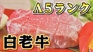 【テレビ局が推す！北海道の絶品焼肉】A５ランク「白老牛」盛り合わせが贅沢すぎる！「カント」【白老町】