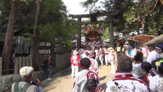 平成２６年度　南河内郡太子町夏祭り　科長神社宮出　西町