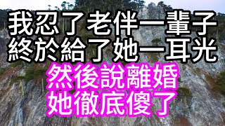 我忍了老伴一輩子，終於給了她一耳光，然後說離婚，她徹底傻了#深夜讀書#中老年幸福人生#美麗人生#幸福生活#幸福人生#中老年生活#為人處世#生活經驗#情感故事